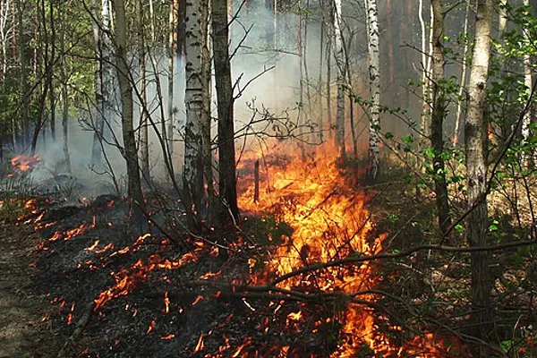 Пожарная безопасность во время майских праздников.