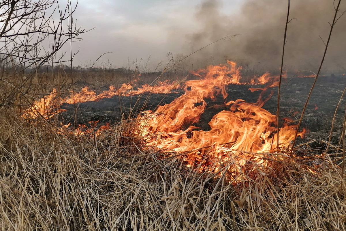 Пожароопасный период.