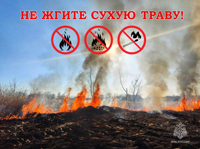 Не жгите сухую траву!.