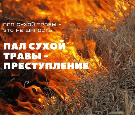 Весенний пал травы - опасная традиция.